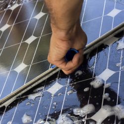 Solar Panel Cleaning